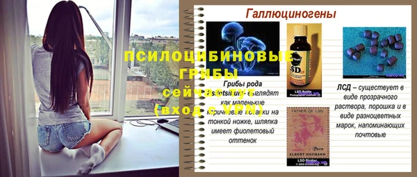 apvp Навашино