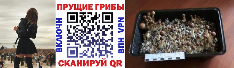 Галлюциногенные грибы ЛСД  Балашиха 