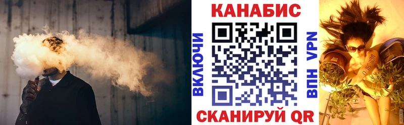 Шишки марихуана Amnesia  продажа наркотиков  ОМГ ОМГ tor  Балашиха 